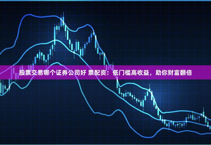 股票交易哪个证券公司好 票配资：低门槛高收益，助你财富翻倍