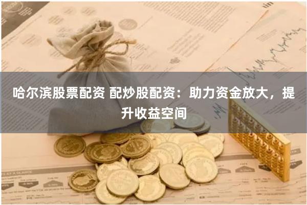 哈尔滨股票配资 配炒股配资：助力资金放大，提升收益空间