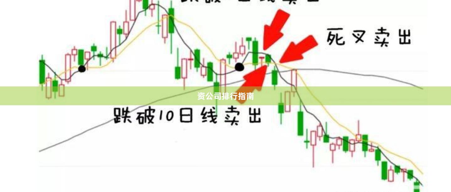 资公司排行指南